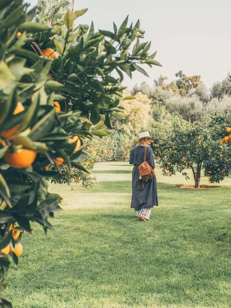 Frolicking in the orange groves of La Mamounia Hotel in Marrakech, Morocco.