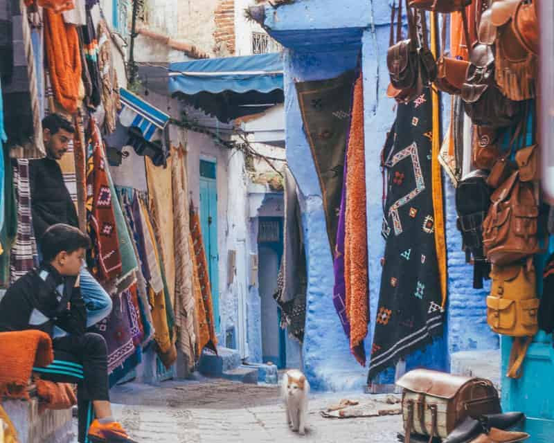 A cat wanders through the souks lined with Moroccan rugs in Chefchaouen, the Blue City.