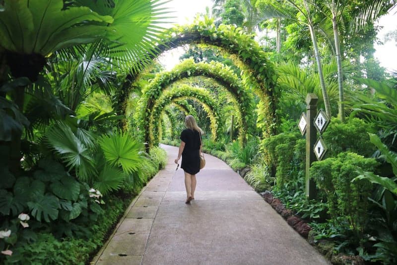 Tropical plant covered archways at Singapore Botanical Gardens