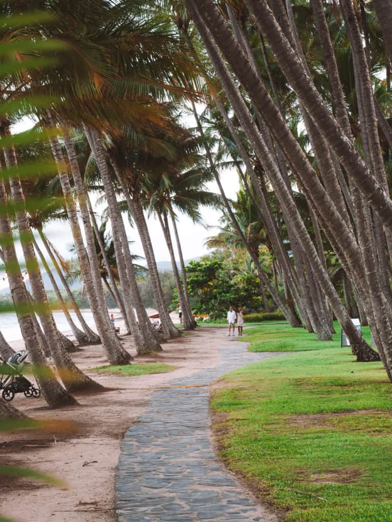 Palm tree lined beaches and walkway along Palm Cove, near Cairns in Australia