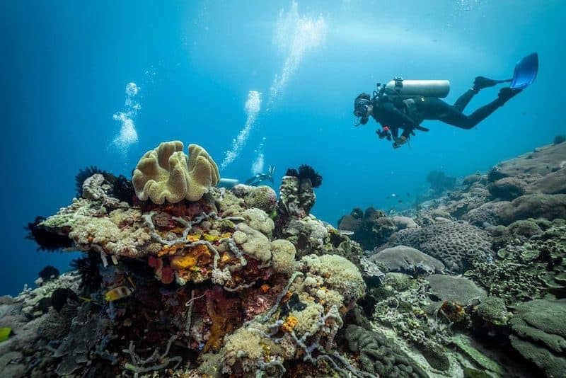Diving experience off Candidasa in East Bali - epic bucket list bali