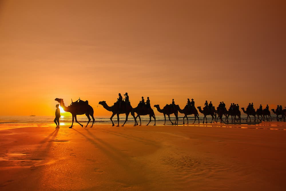 Camel train on Cable Beach in Broome Australia
