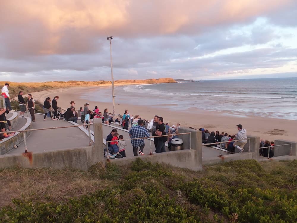Penguin Parade viewing deck at sunset - best romantic weekend trips for couples