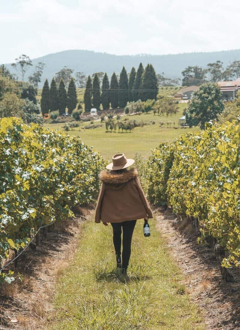 The Best Tamar Valley Wineries & Vineyards near Launceston, Tasmania