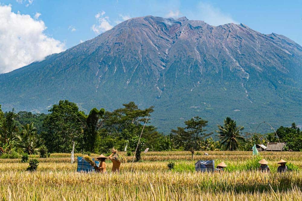 View of Mount Agung from the Sidemen Valley Rice Fields