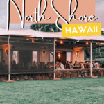 Hawaii Foodies Guide: Places to Eat & Drink on North Shore