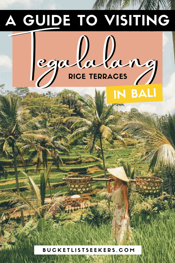 A Guide to Visiting Tegalalang Rice Terraces in Ubud